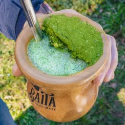 VICIADOS EM CHIMARRÃO🧉💚🧉