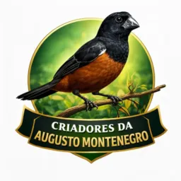 Criadores da Augusto Montenegro e região (Doação e Boladas)