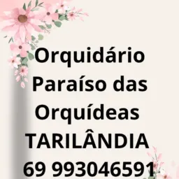 Orq. Paraiso das orquídeas Tarilândia