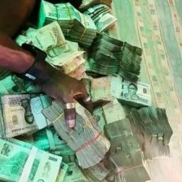 Como fazer 1 milhão