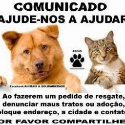 Ajuda aos animais 🐱🐶