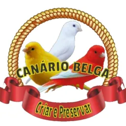 Canário Belga - Sorteio (Cascavel e região)