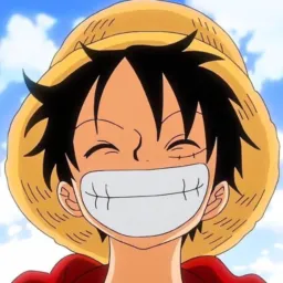 MERCADO DO LUFFY