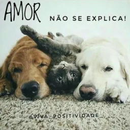 Eu Amo Pets🐶🐱🐹🐇🐠