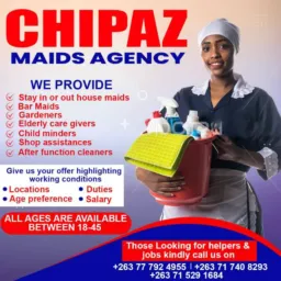 Chipaz maids & employers 6