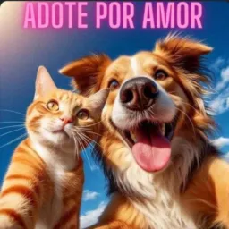 🐶🐱ADOTE COM RESPONSABILIDADE