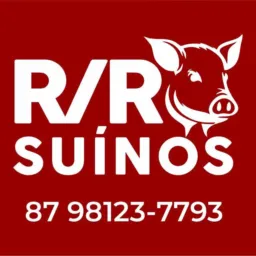💥RIFA R/R SUÍNOS 💥