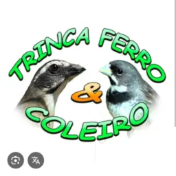 Manejo de coleira E trinca ferro