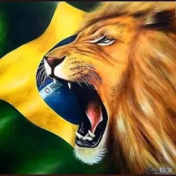 🇧🇷 FOCO, FORÇ@ & FÉ! 🙏🏼