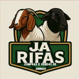 🔥🅙.🅐 OVELHA MESTIÇA 💥🐑☘️