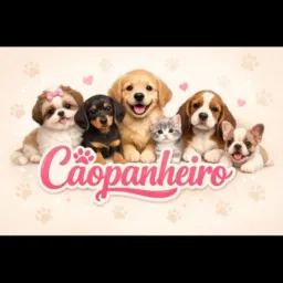 Cãopanheiro 💖