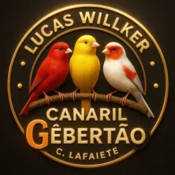Canaril Gêbertão🐥 VENDAS E CATIRAS SOMENTE SOBRE CANÁRIO