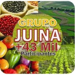 DESAPEGA E LEVA  VENDAS JUÍNA MT ✅