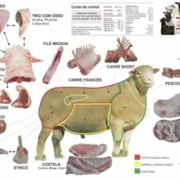 Criadores de Carneiros Ovelhas e catira de animais