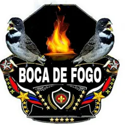 Passarinheiros 🐦 Só 011