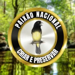 CHOPEIRO GEISEL E REGIÃO