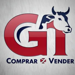 G1 Gambiras e Negócios 🐴🐮🐔🐷🌱