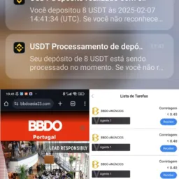 divulgação Livre