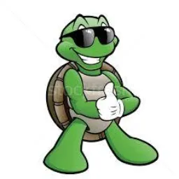 Olx Tartarugalzinho 🐢