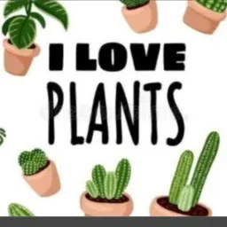 Compras e vendas de plantas em Salvaterra 🪴🌱⚘️