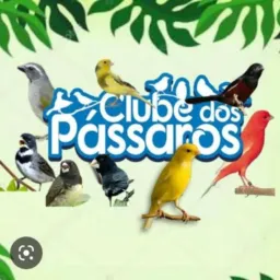 Clube dos Pássaros 1.0 🦅🐆🦎
