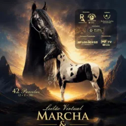 Lances com Mestre