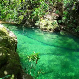 Vendas Barra do Garças MT