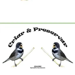 SÓ AVES!!!!!CRIAR E PRESERVAR 🐣CJPF🐥