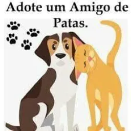 ◦•●◉✿ "Acolhimento Animal Solidário" ✿◉●•◦