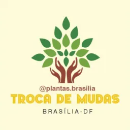 🌳Plantas Brasília-DF🌳
