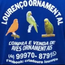 OLX MARIALVA