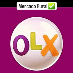 Mercado Rural - Assentamentos ✅
