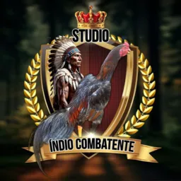 Studio indio combatente