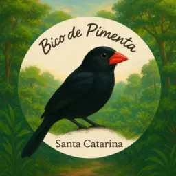 BICO DE PIMENTA S.C                  PAIXAO NACIONAL