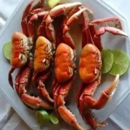 Caranguejo, siri e peixe