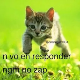 entrem no outro chat :p