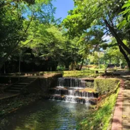 Trocas e vendas