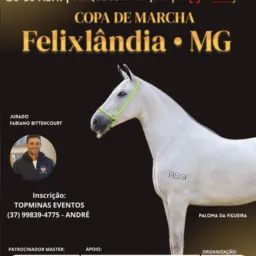 Copa de marcha Felixlandia 2025