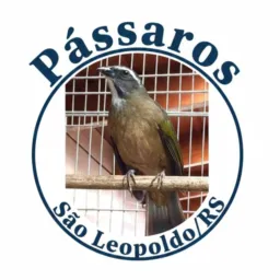 Pássaros São Léo 🦅