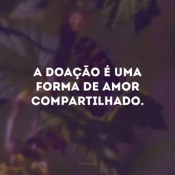 Doação é um ato de amor