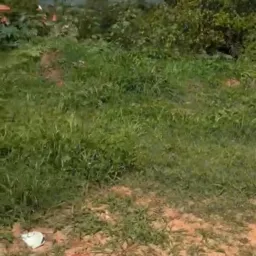 RIFA DE UM TERRENO🍀🍀