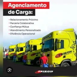 🇧🇷FRIBON FRETES RIO VERDE 1🇧🇷