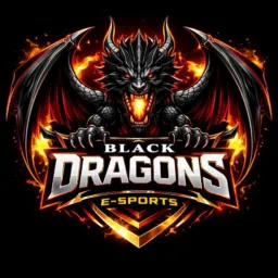 GRUPO PARA TESTES | BLACK DRAGONS SPORTS ⬛🐉