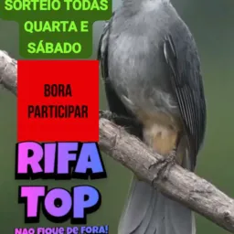 Diego rifas
