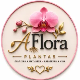 Comunidade • Plantas • Decoração • Dicas • 
📍Guapó – GO