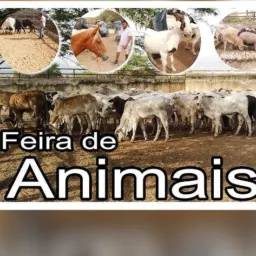Jijoca Compra e Vendas de Animais e Regiões Vizinhas!