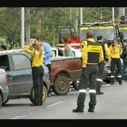Trânsito Sao Sebastião🚓🚔