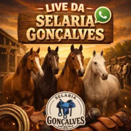 LIVE PROMOCIONAL SELARIA GONÇALVES
