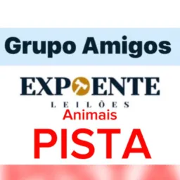 EXPOENTE - ANIMAIS DE PISTA