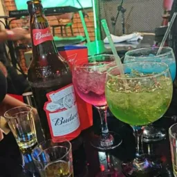 💃🕺 TODO OS CANTOS 🍻🥃🍸